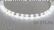 Світлодіодна стрічка 220В холодне біле світло SMD 2835-48 Standart 01176 01176 фото 1