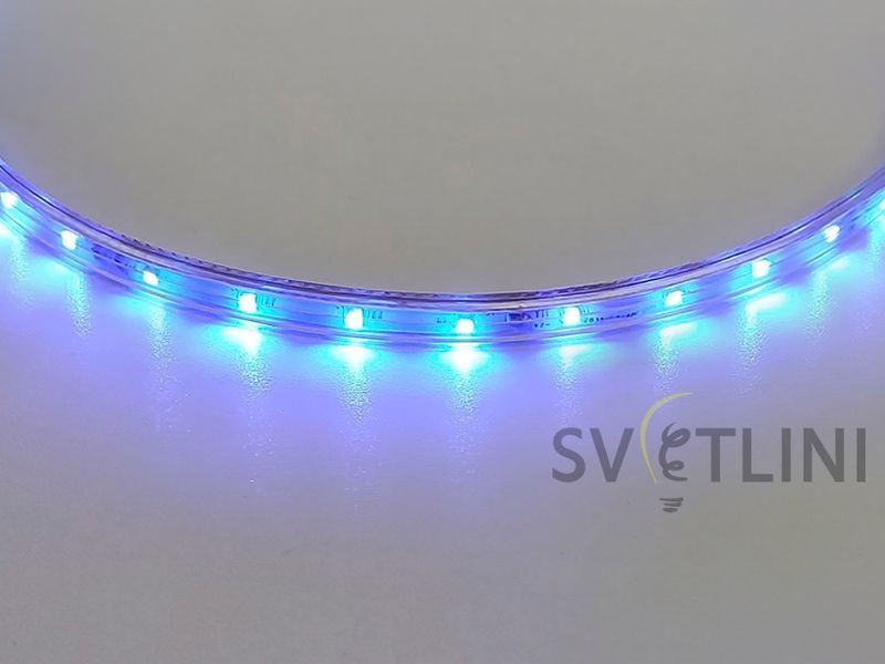 Світлодіодна стрічка 220В синя SMD 2835-48 Standart 01175 01175 фото