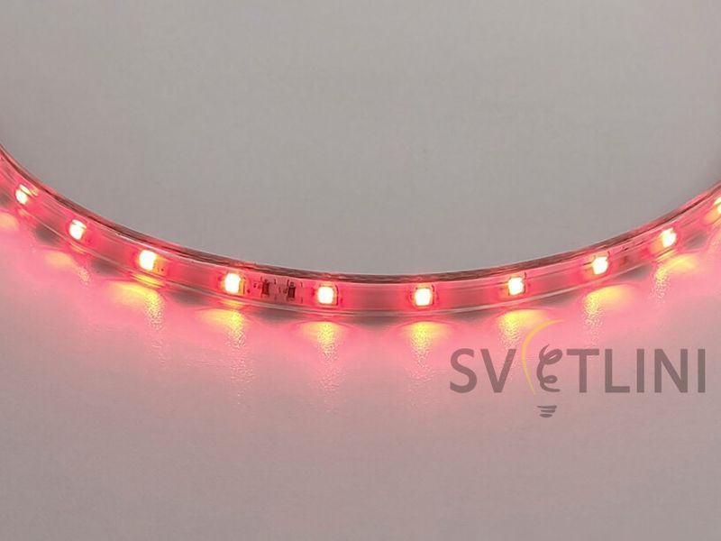 Світлодіодна стрічка 220В червона SMD 2835-48 Standart 01172 01172 фото