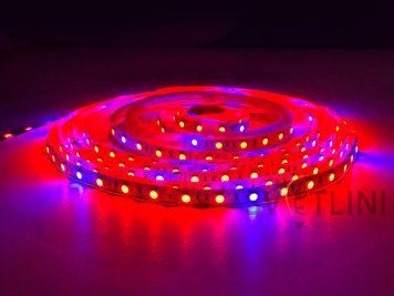 Светодиодная фитолента SMD 5050 33003 33003 фото