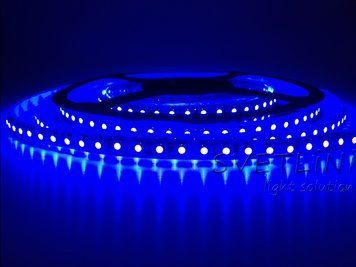 Світлодіодна стрічка 12В синя SMD 3528-120 SVT Standart 01085 01085 фото