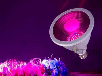 Светодиодная фитолампа 12 Вт 3020 SMD 33020 33020 фото